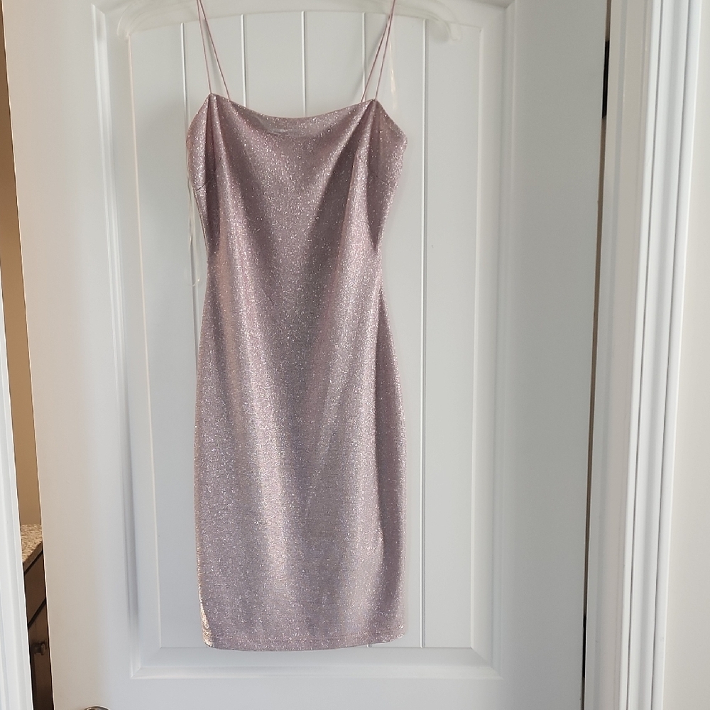 Windsor Pink Spaghetti Strap Slip Dress